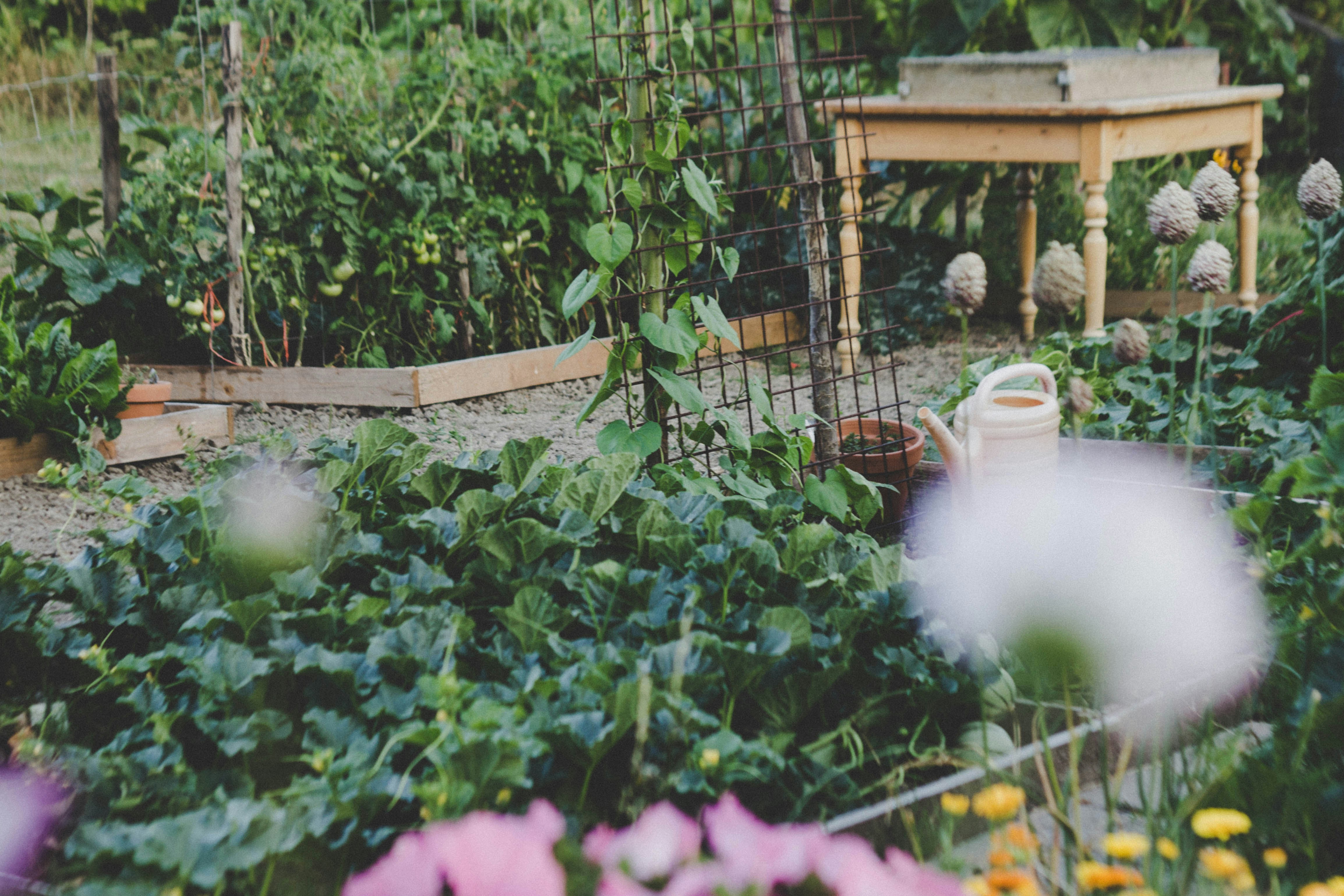 permacultuur moestuin